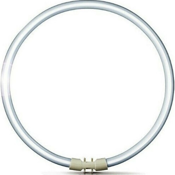 Osram Circular Fluorescent Lamp T5 FC22W 840 2GX13
