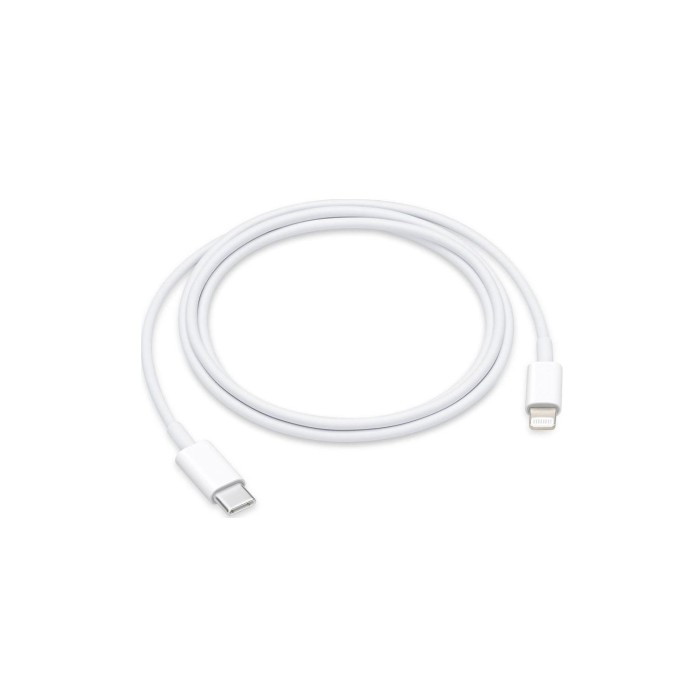 Apple D Cavo USB-C a Lightning 1m MM0A3ZM/A Apple D Cavo USB-C a Lightning 1m MM0A3ZM/A