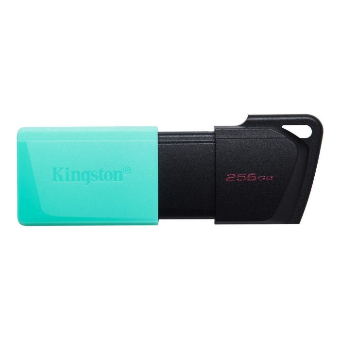 Kingston Pendrive USB-A 3.2 256GB DTXM/256GB Nero/Azzurro