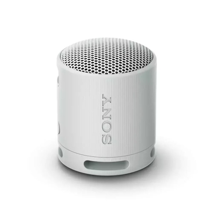 Sony SRS-XB100 Speaker Wireless Bluetooth Grigio Sony SRS-XB100 Speaker Wireless Bluetooth Grigio