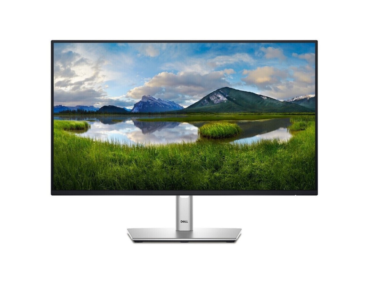 Dell P2425H