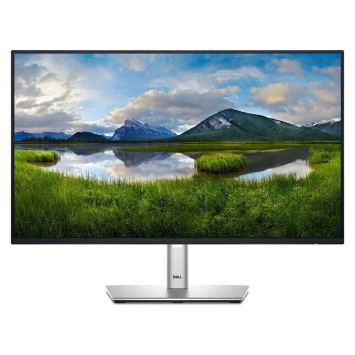 Dell P2425H Dell P2425H