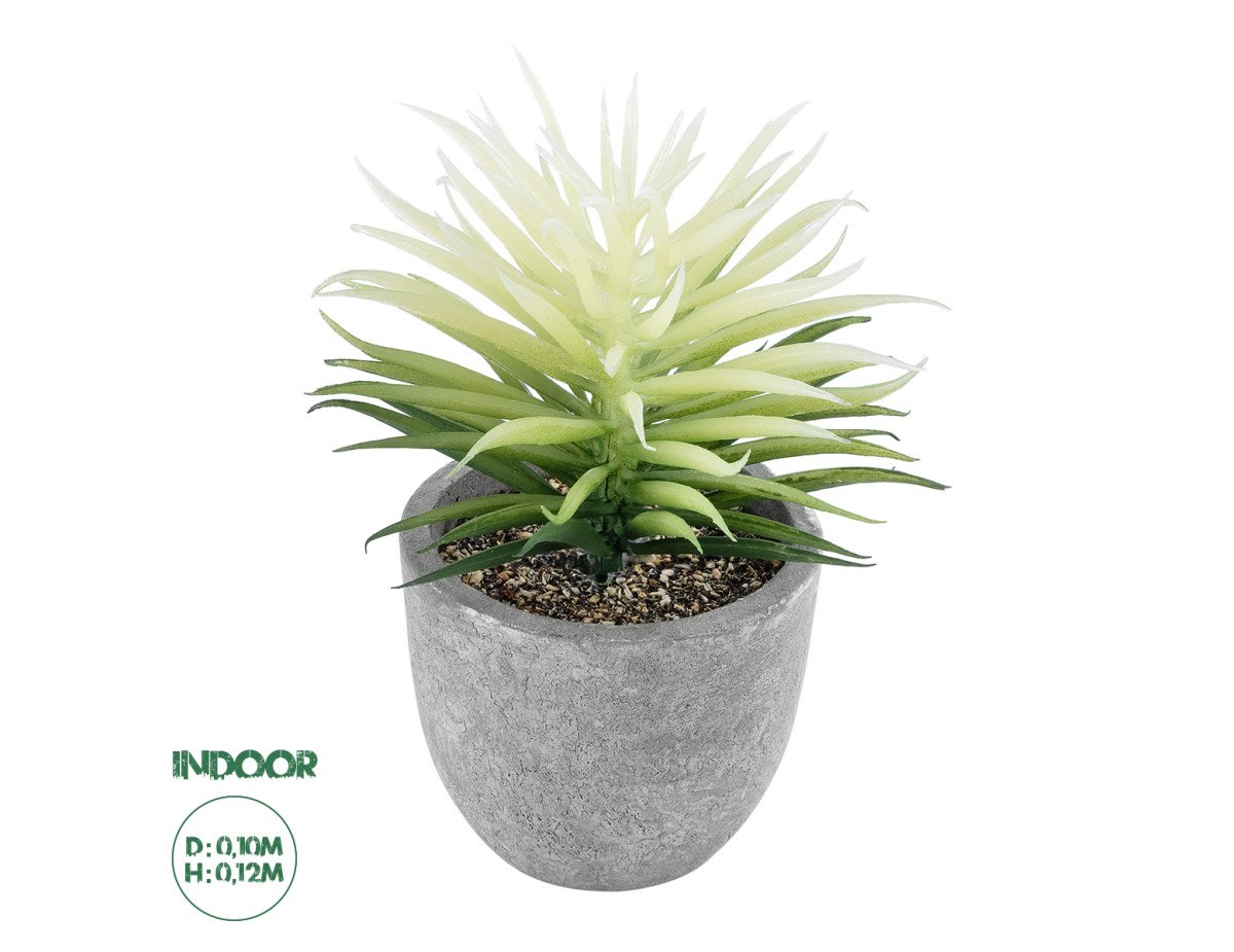 GloboStar® Artificial Garden SUCCULENT SENECIO 21024 Διακοσμητικό Φυτό Παχύφυτο Σενέκιο Υ12cm