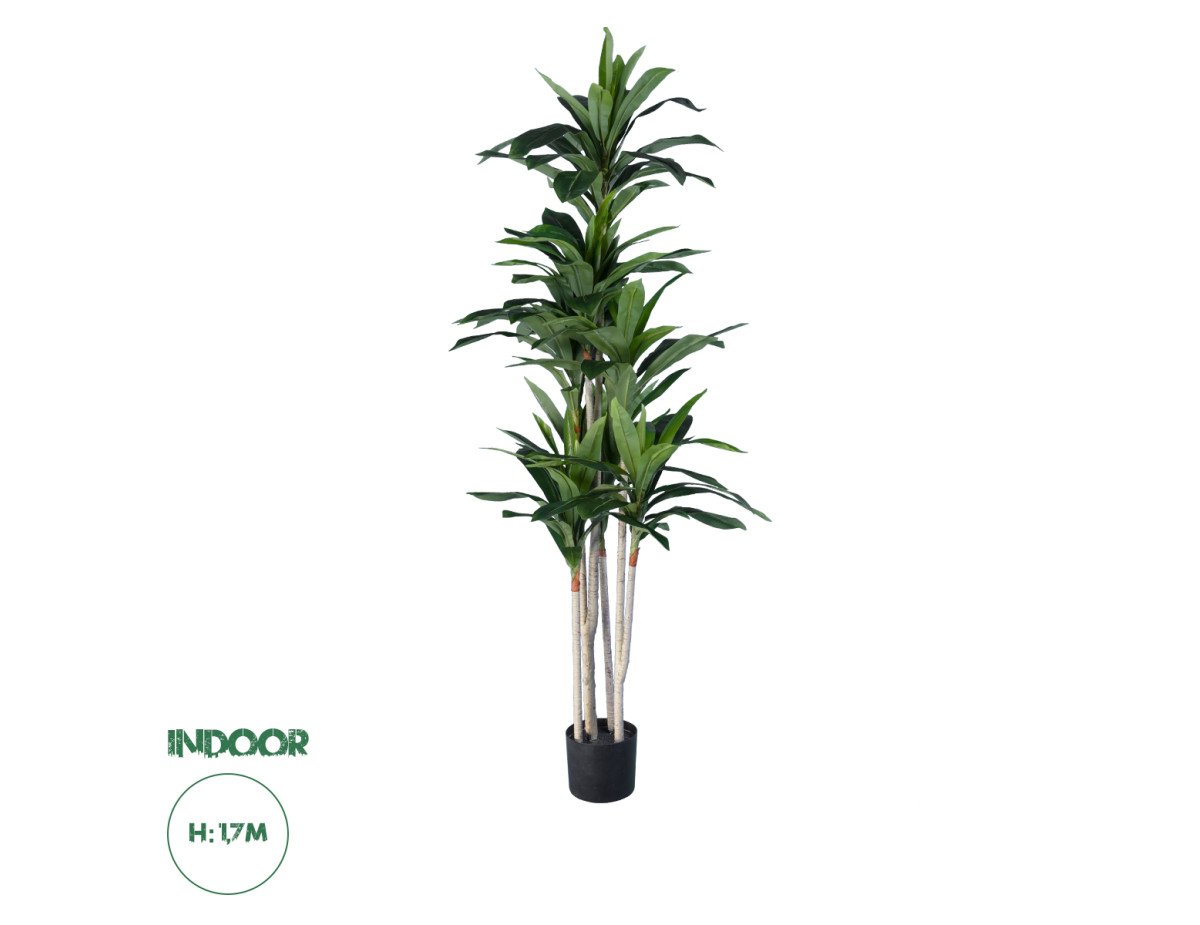 GloboStar® Artificial Garden DRACAENA SILK 20044 Τεχνητό Διακοσμητικό Φυτό Δράκαινα Υ170cm
