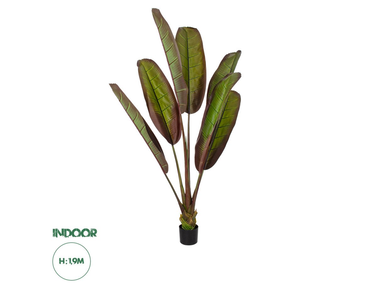 GloboStar® Artificial Garden BLOODY BANANA TREE 20118 Τεχνητό Διακοσμητικό Φυτό Αιματόφυλλη Μπανανιά - Μπανανόδεντρο Υ190cm