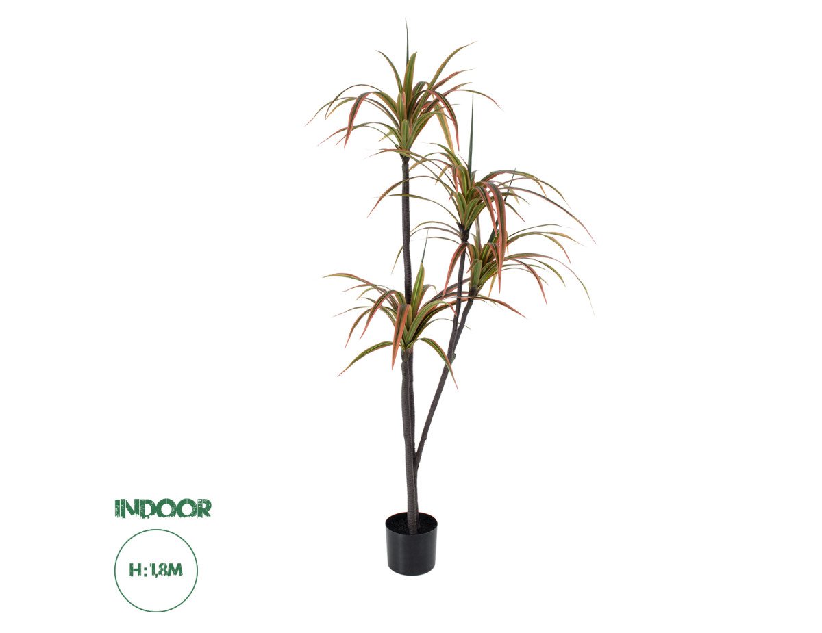 GloboStar® Artificial Garden DRAGON BLOOD TREE 20372 Τεχνητό Διακοσμητικό Φυτό Δράκαινα Υ180cm