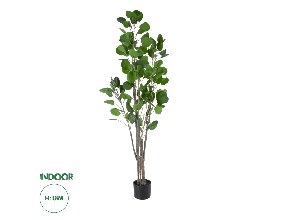 GloboStar® Artificial Garden POLYSCIAS BALFOURIANA TREE 20375 Τεχνητό Διακοσμητικό Φυτό Πολυσκιά Υ180cm