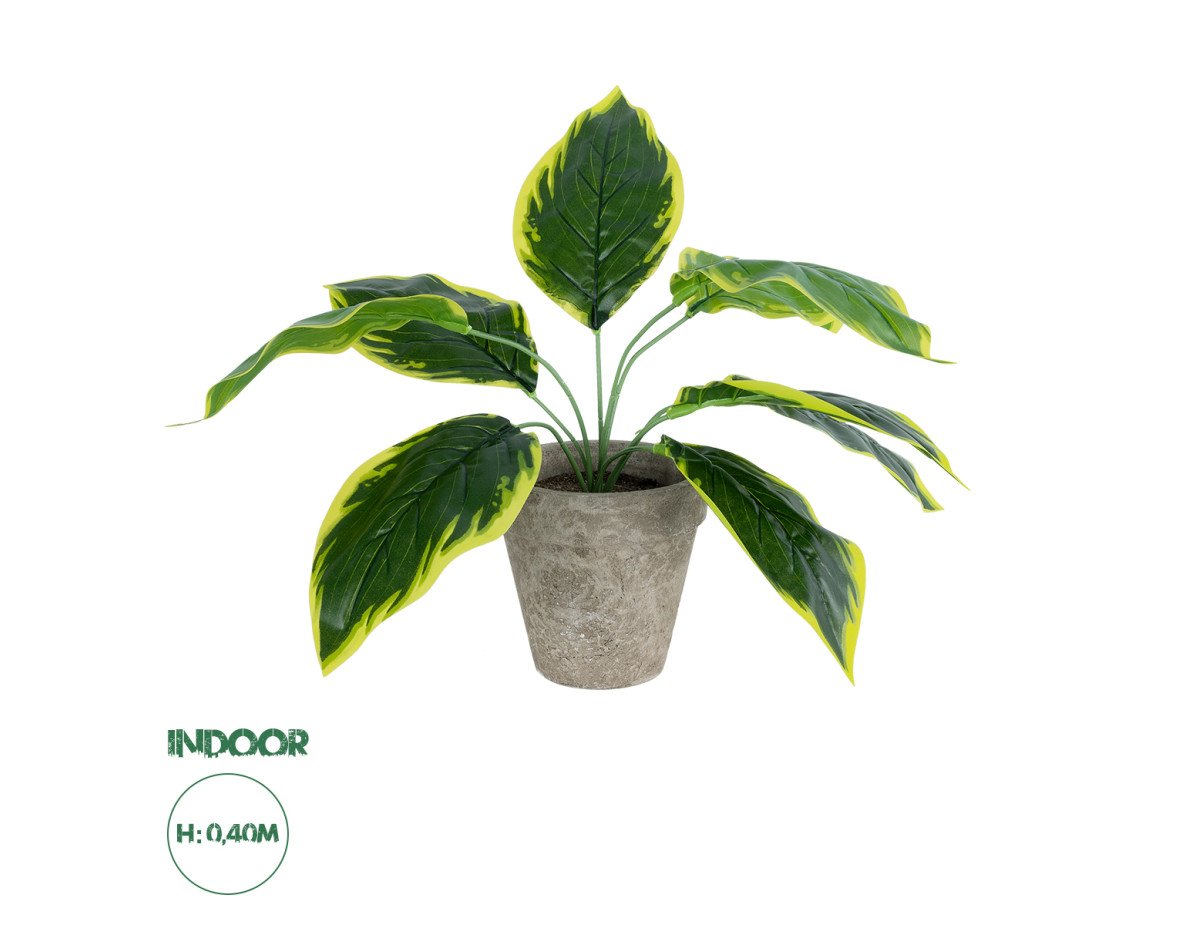 GloboStar® Artificial Garden YELLOW HOSTA PLANT 20899 Τεχνητό Διακοσμητικό Φυτό Κίτρινη Χόστα Φ45 x Υ40cm