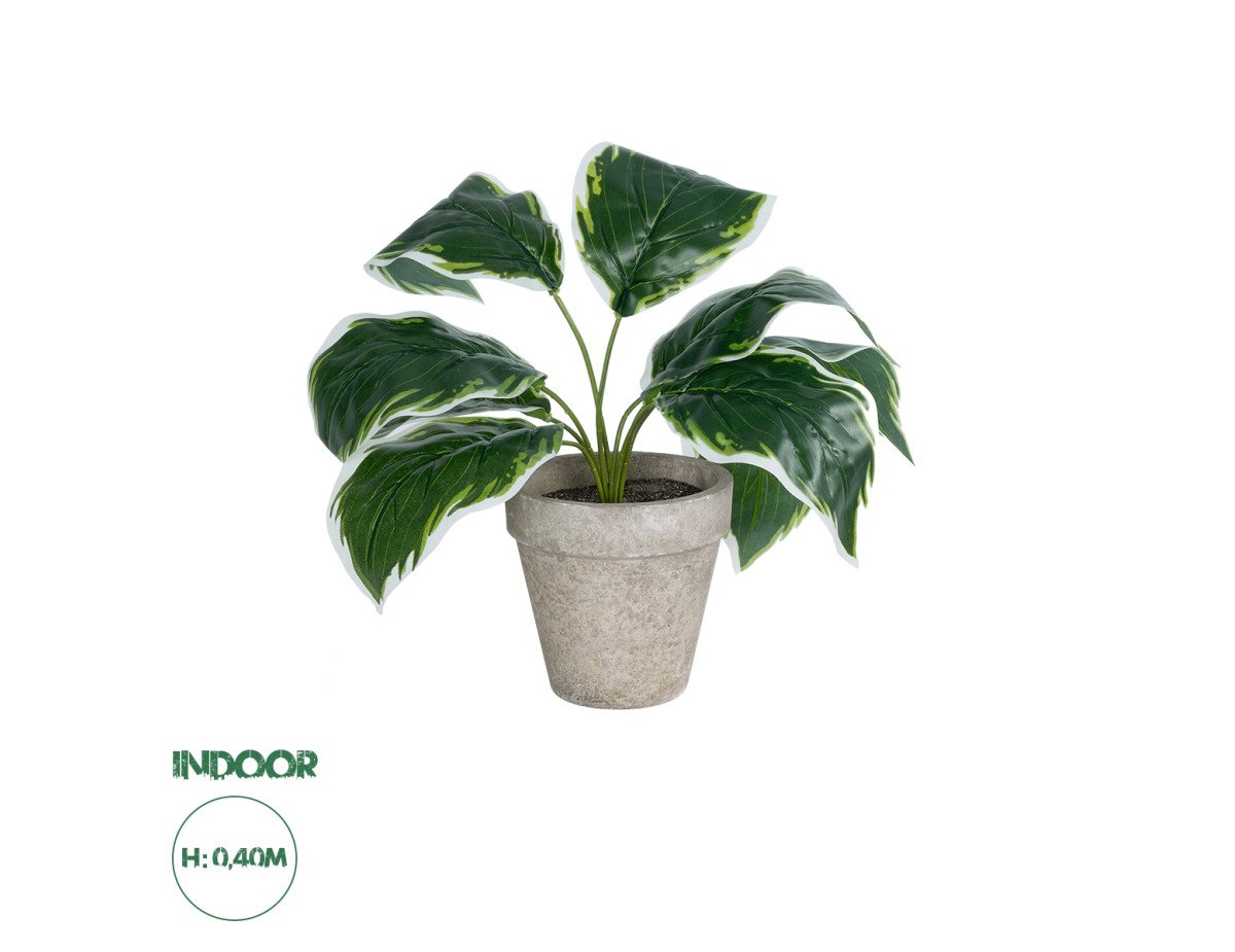 GloboStar® Artificial Garden WHITE HOSTA PLANT 20900 Διακοσμητικό Φυτό Λευκή  Χόστα Φ45 x Υ40cm