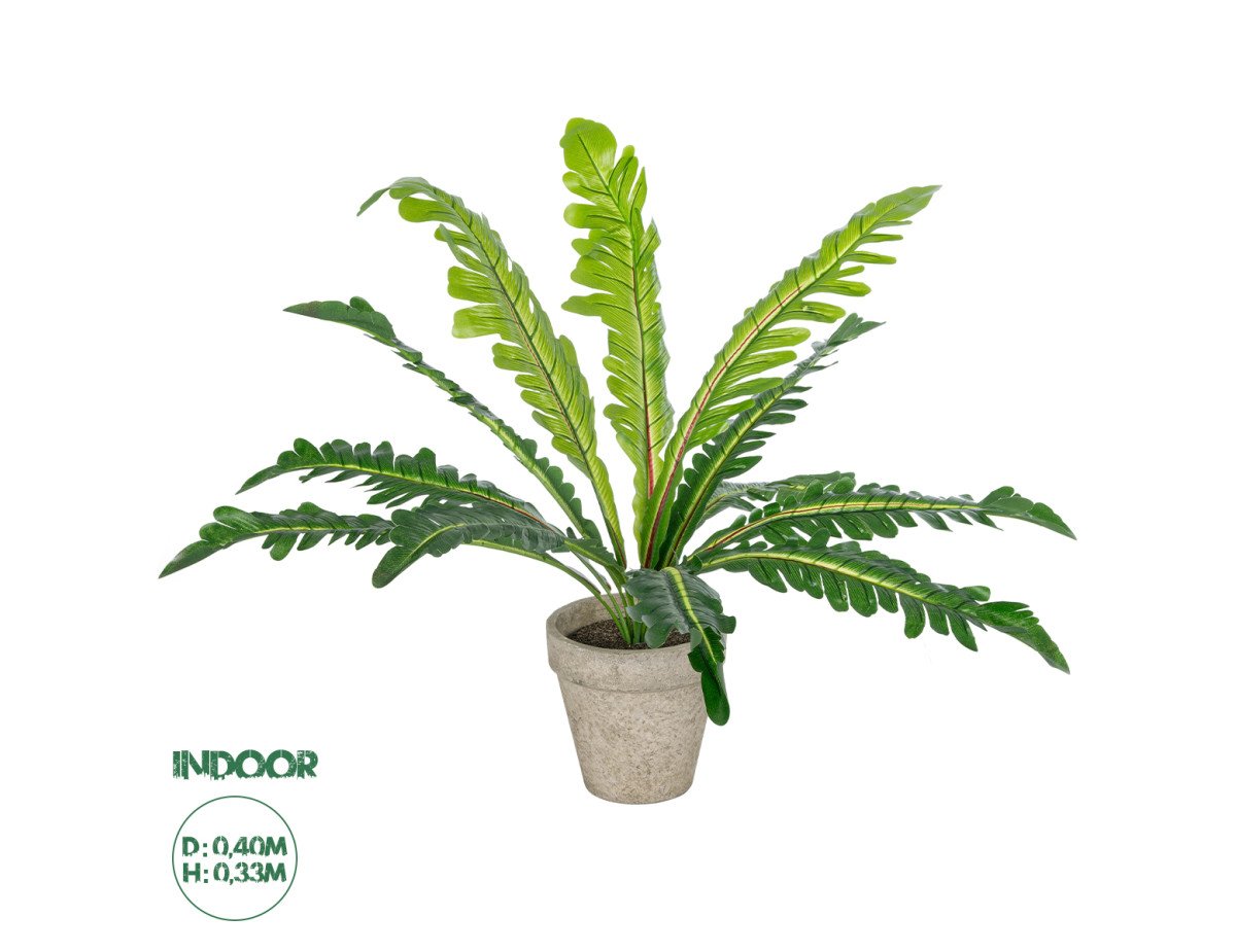 GloboStar® Artificial Garden  ASPLENIUM POTTED PLANT 20904 Διακοσμητικό Φυτό Aslenium Φ40 x Υ33cm