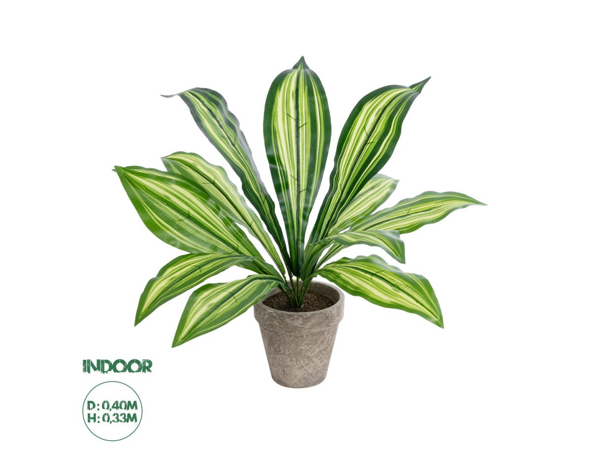 GloboStar® Artificial Garden  DRACAENA POTTED PLANT 20907 Διακοσμητικό Φυτό Δράκενα Φ40 x Υ33cm