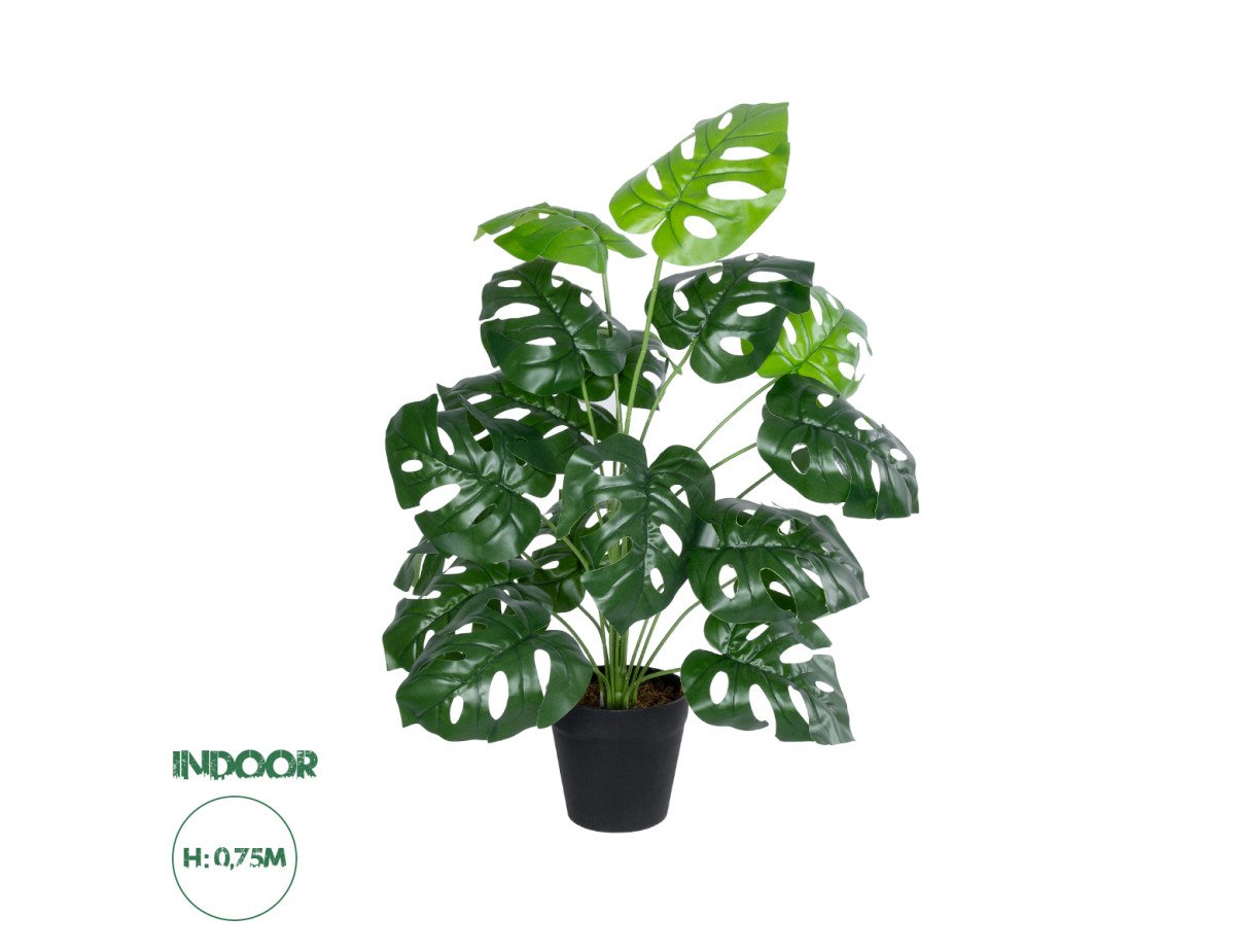 GloboStar® Artificial Garden MONSTERA PLANT 20909 - Διακοσμητικό Φυτό Μονστέρα Φ50 x Υ75cm