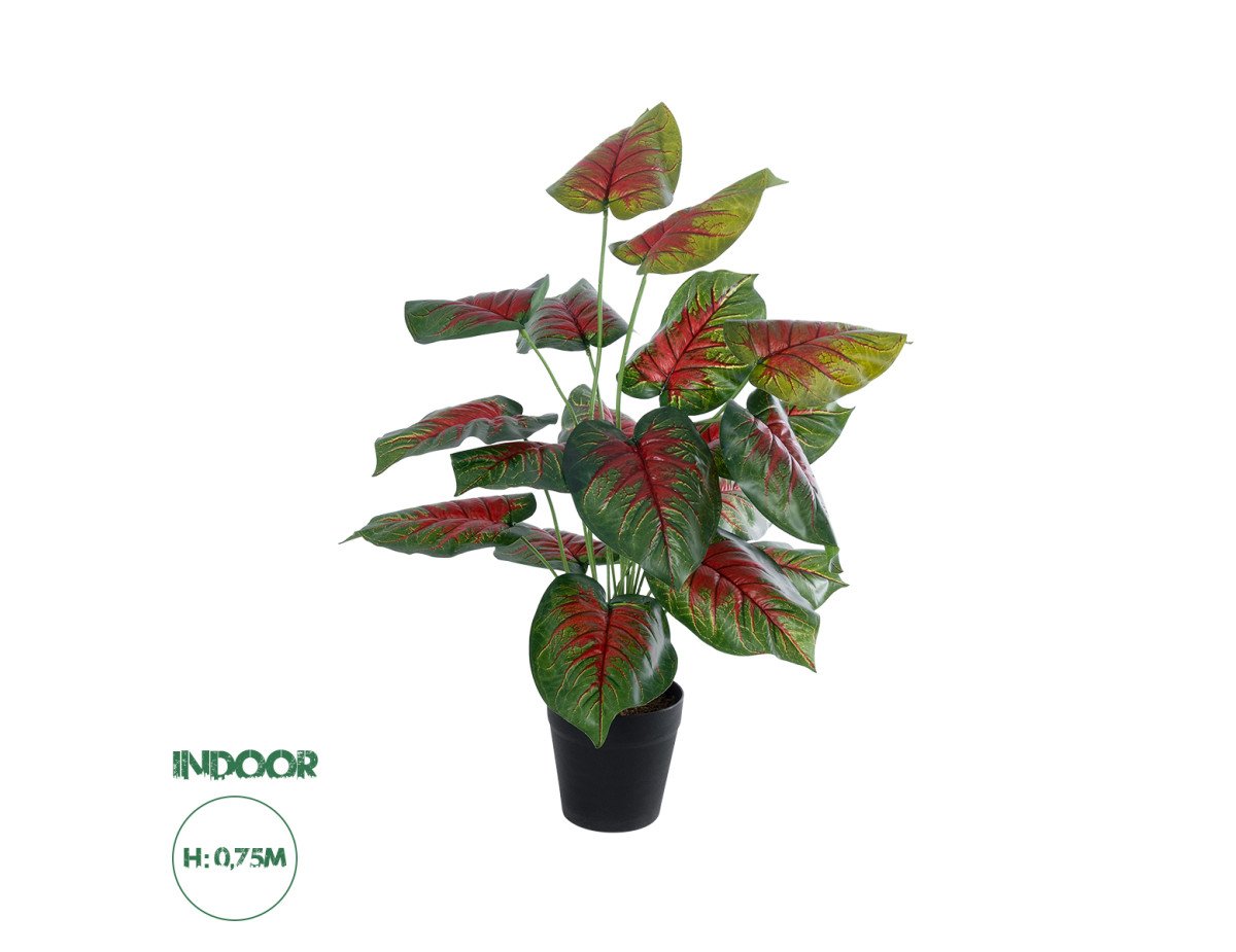 GloboStar® Artificial Garden CALADIUM MIX 20911 Διακοσμητικό Φυτό Καλάντιουμ Υ75cm