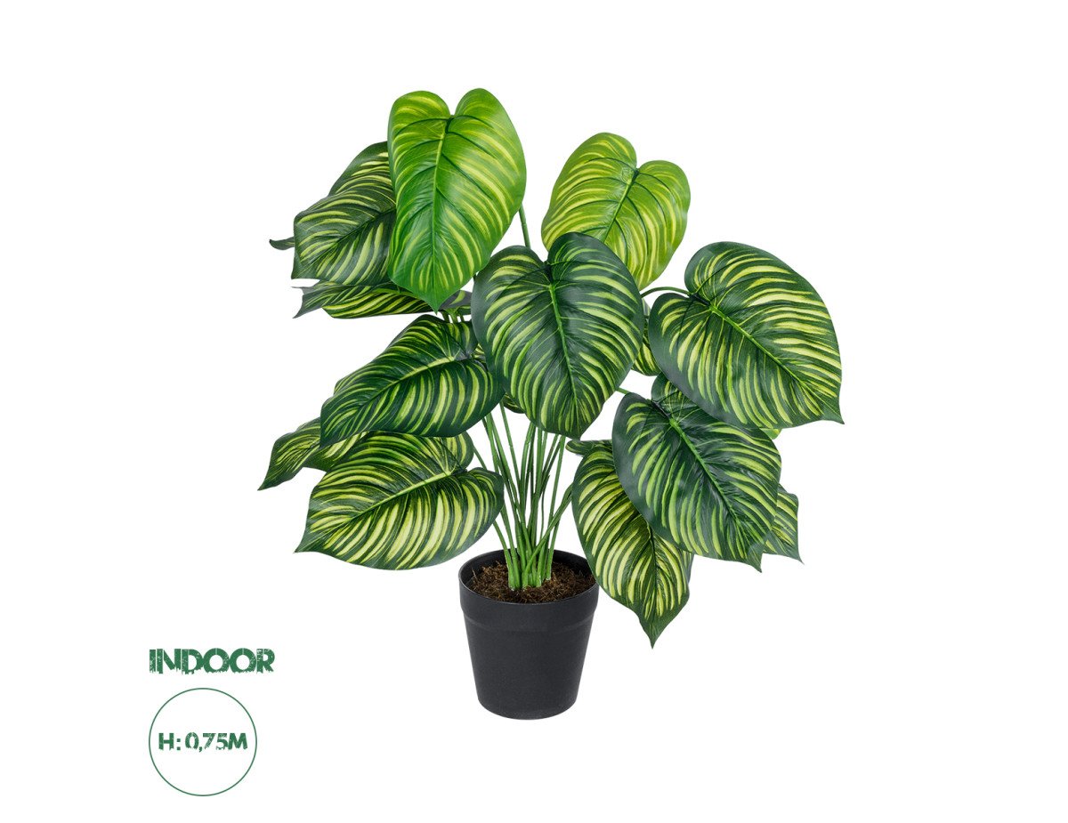 GloboStar® Artificial Garden CALATHEA PLANT 20912 Διακοσμητικό Φυτό Καλαθέα Φ55 x Υ75cm