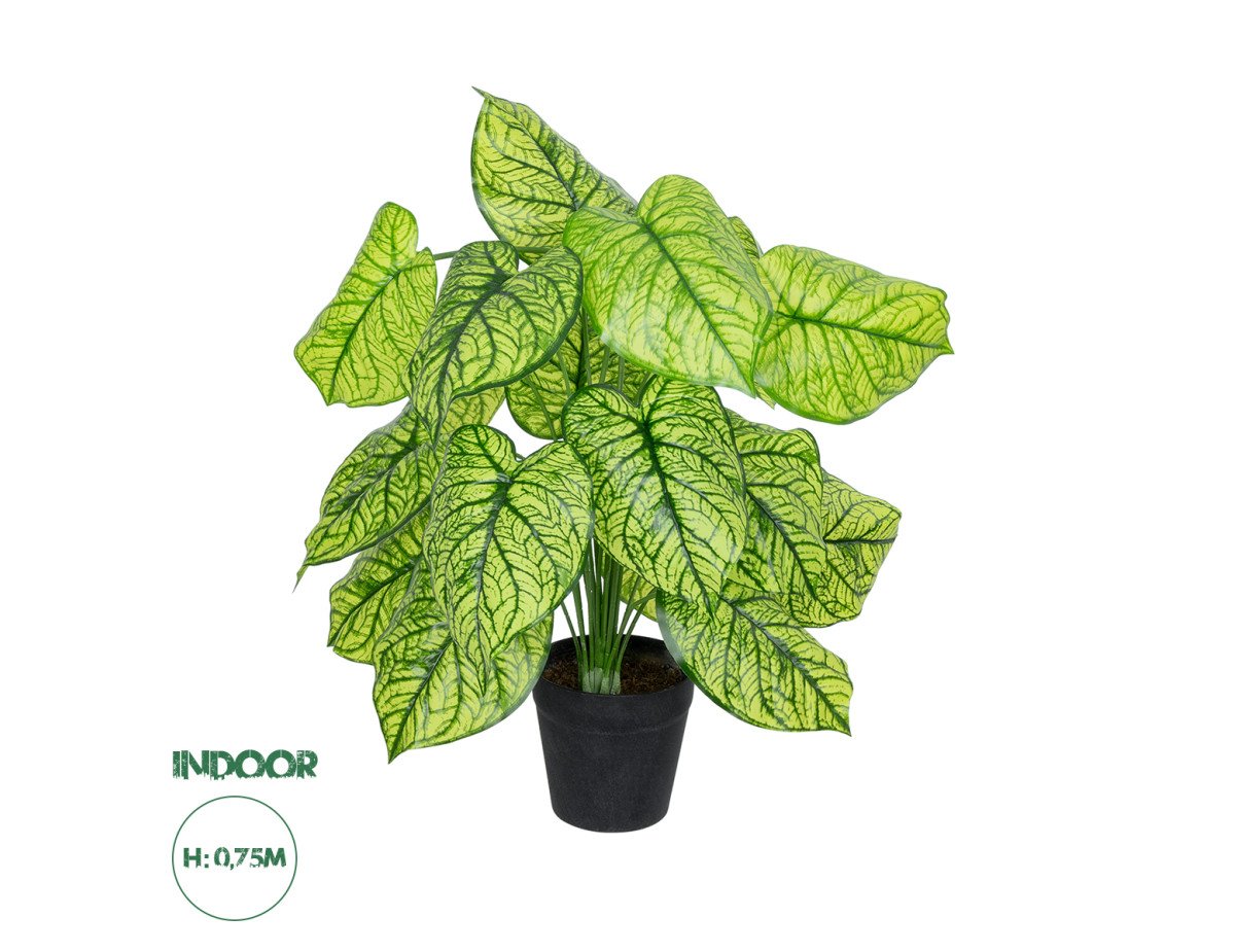 GloboStar® Artificial Garden CALADIUM PLANT 20913 Διακοσμητικό Φυτό Καλάντιουμ Φ55 x Υ75cm