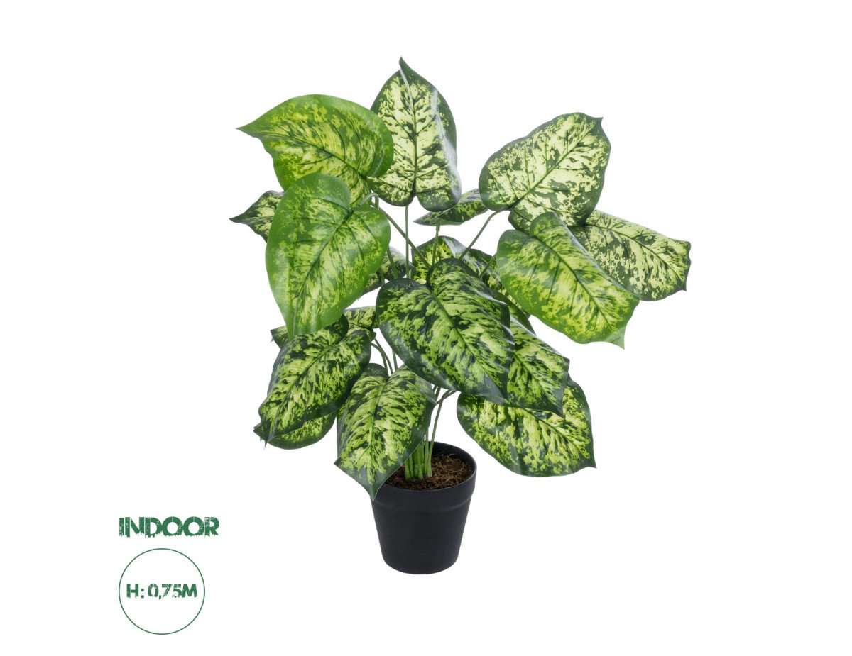 GloboStar® Artificial Garden DIEFFENBACHIA PLANT 20914 Διακοσμητικό Φυτό Διφενμπάχια Φ58 x Υ75cm