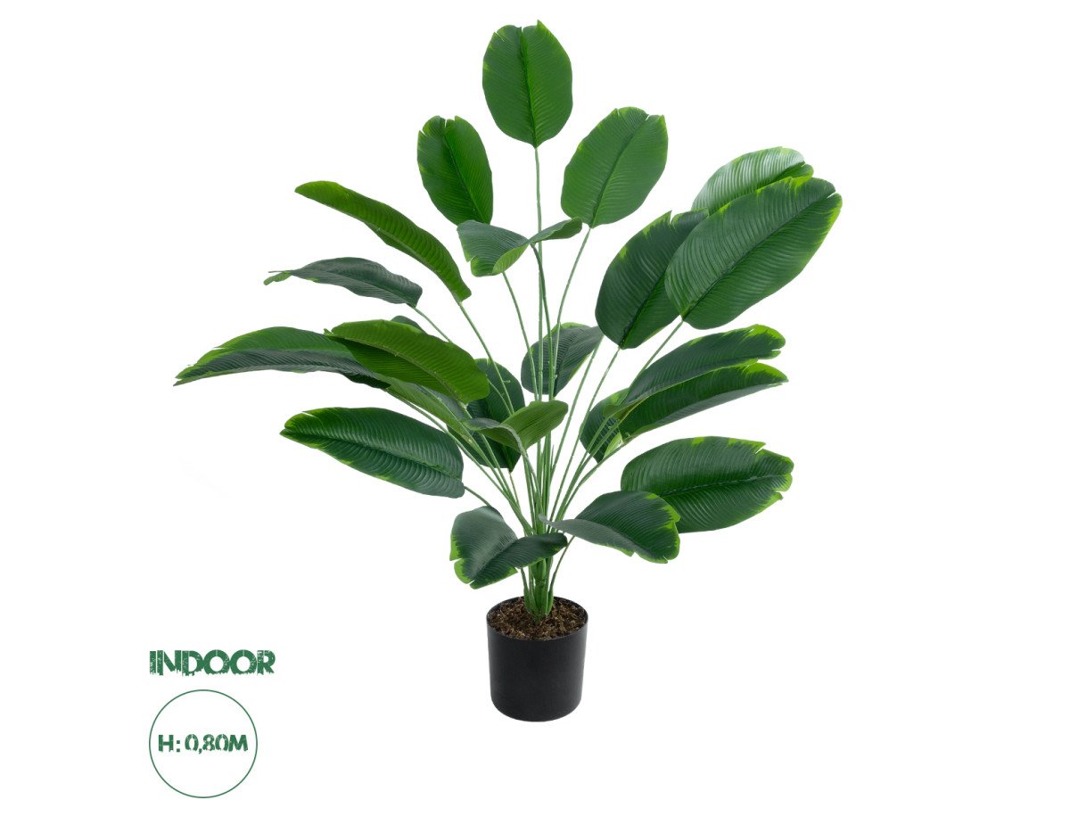 GloboStar® Artificial Garden YOUNG BANANA PLANT 20916 - Διακοσμητικό Φυτό Νεαρή Μπανανιά Φ82 x Υ80cm