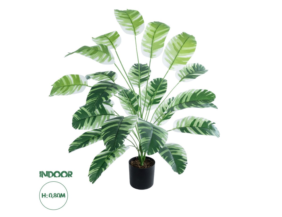 GloboStar® Artificial Garden BANANA ZEBRA PLANT 20918 - Διακοσμητικό Φυτό Μπανανιά Ζέβρα Φ83 x Υ80cm