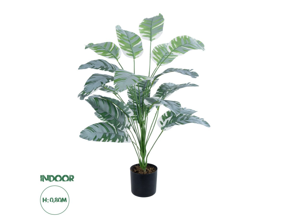 GloboStar® Artificial Garden BANANA ZEBRA PLANT 20919 - Διακοσμητικό Φυτό Μπανανιά Ζέβρα Φ78 x Υ80cm