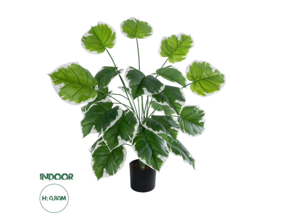 GloboStar® Artificial Garden WHITE HOSTA PLANT 20920 Διακοσμητικό Φυτό Λευκή Χόστα Φ87 x Υ80cm