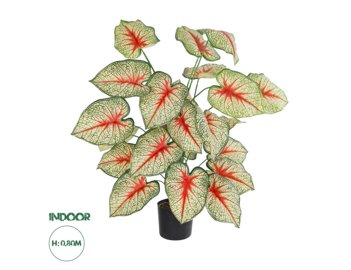 GloboStar® Artificial Garden CALADIUM PLANT 20921 Διακοσμητικό Φυτό Καλάντιουμ Φ75 x Υ80cm