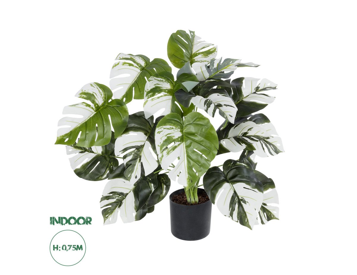 GloboStar® Artificial Garden ALBINO MONSTERA PLANT 20925 - Διακοσμητικό Φυτό Λευκή Μονστέρα Φ70 x Υ75cm