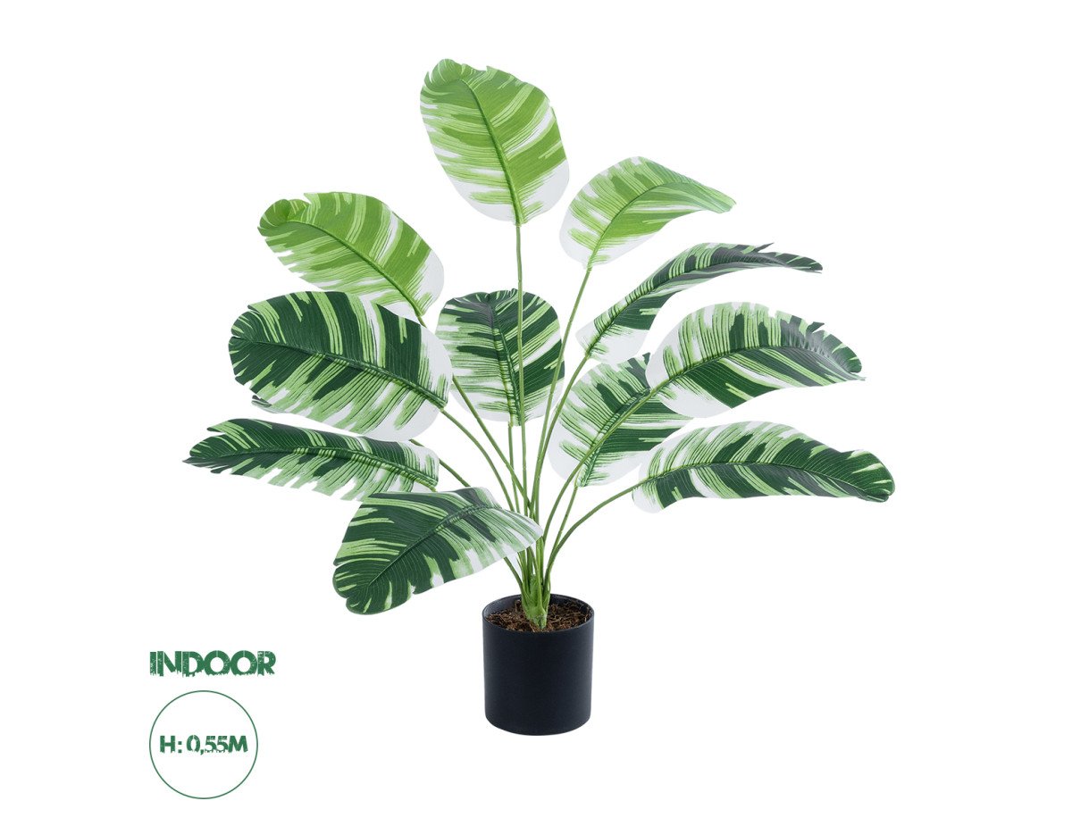 GloboStar® Artificial Garden BANANA PLANT ZEBRA 20929 - Διακοσμητικό Φυτό Μπανανιά Ζέβρα Φ70 x Υ55cm