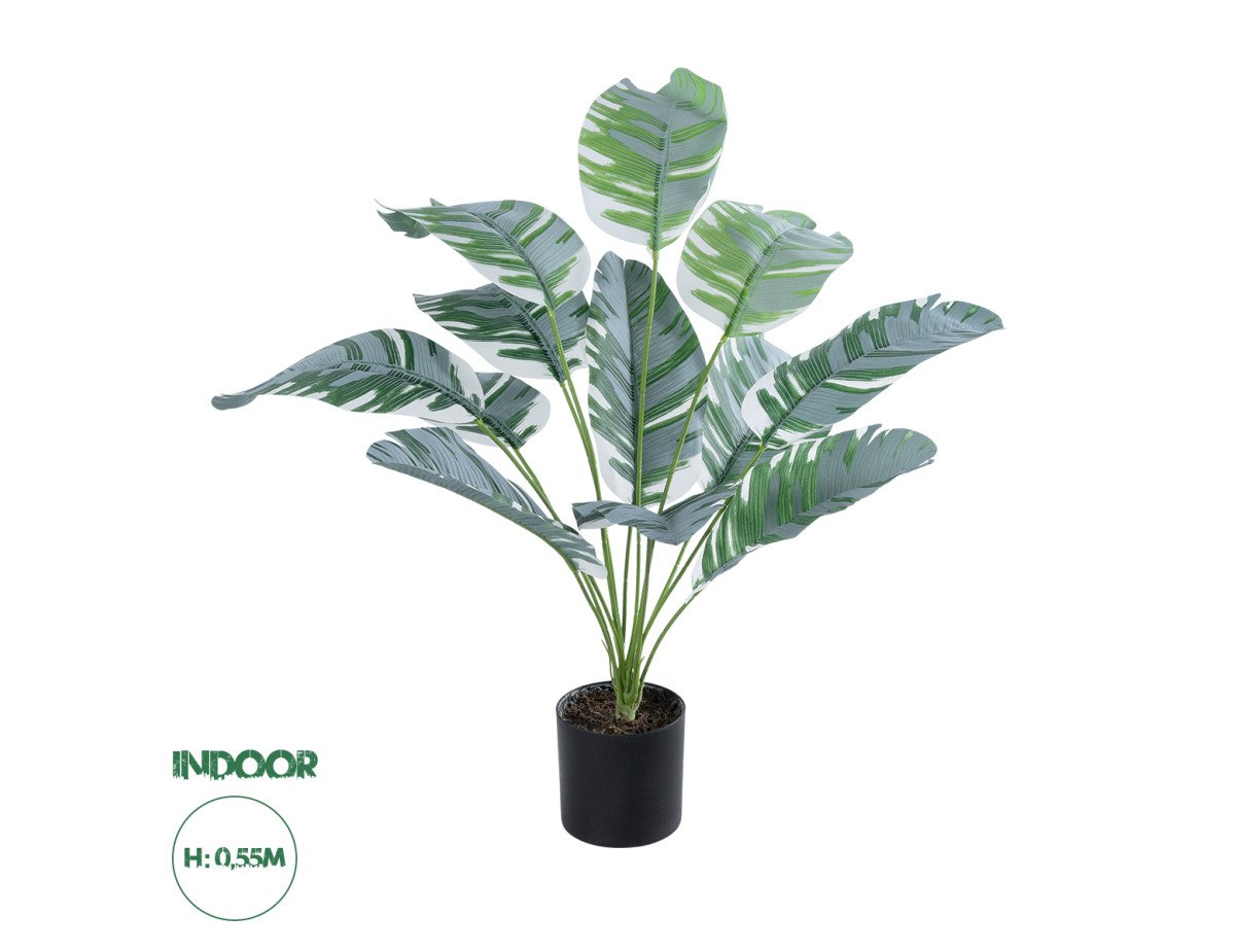 GloboStar® Artificial Garden BANANA PLANT ZEBRA 20930 - Διακοσμητικό Φυτό Μπανανιά Ζέβρα Φ70 x Υ55cm