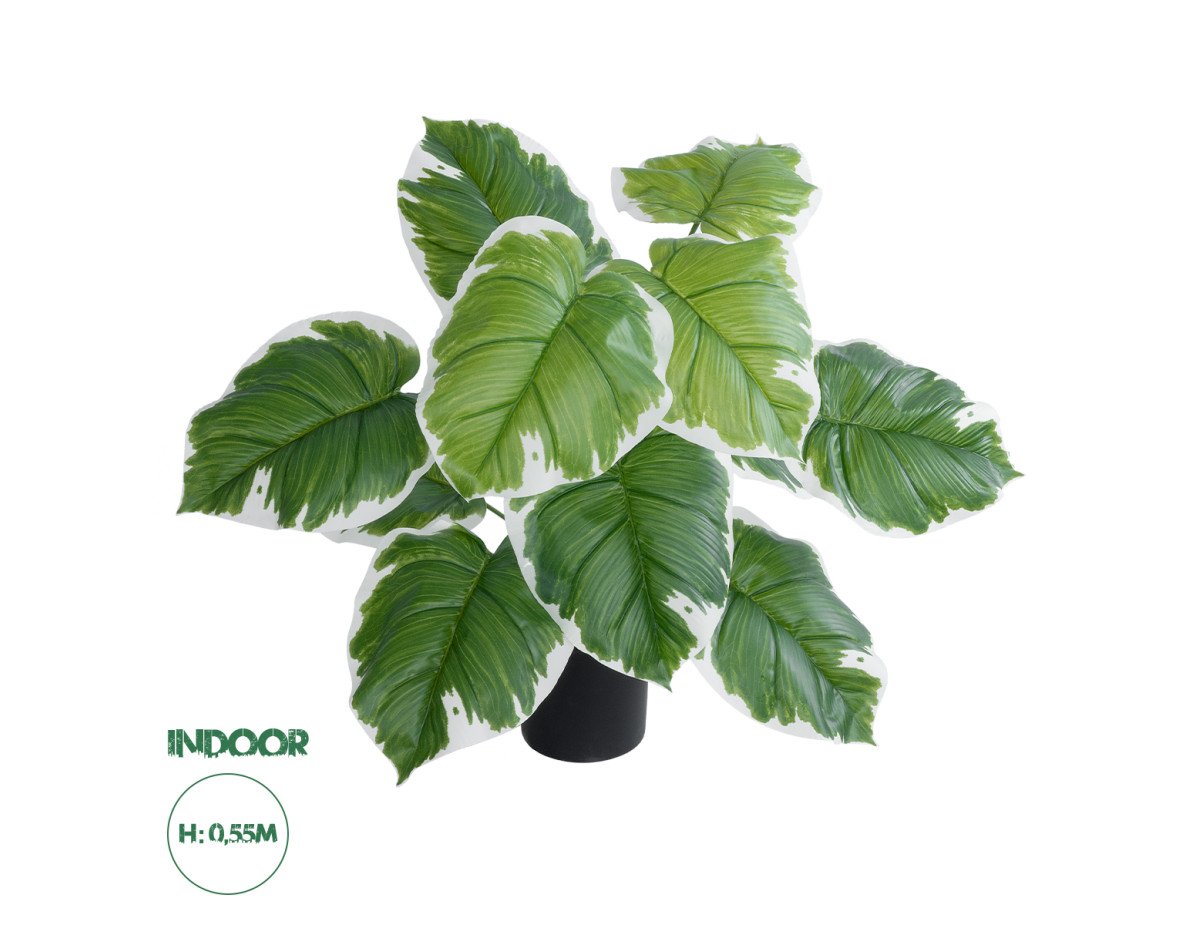 GloboStar® Artificial Garden WHITE HOSTA PLANT 20931 Διακοσμητικό Φυτό Λευκή  Χόστα Φ60 x Υ55cm