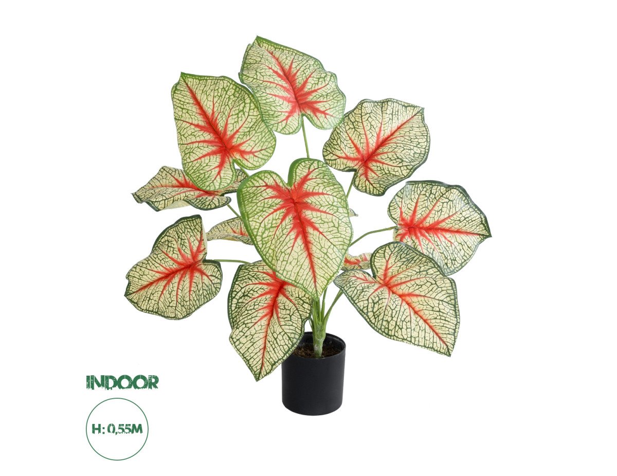 GloboStar® Artificial Garden CALADIUM PLANT 20932 Διακοσμητικό Φυτό Καλάντιουμ Φ58 x Υ55cm