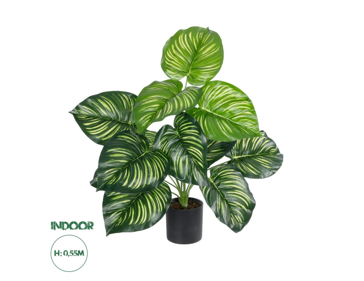 GloboStar® Artificial Garden CALATHEA PLANT 20933 Διακοσμητικό Φυτό Καλαθέα Φ55 x Υ55cm