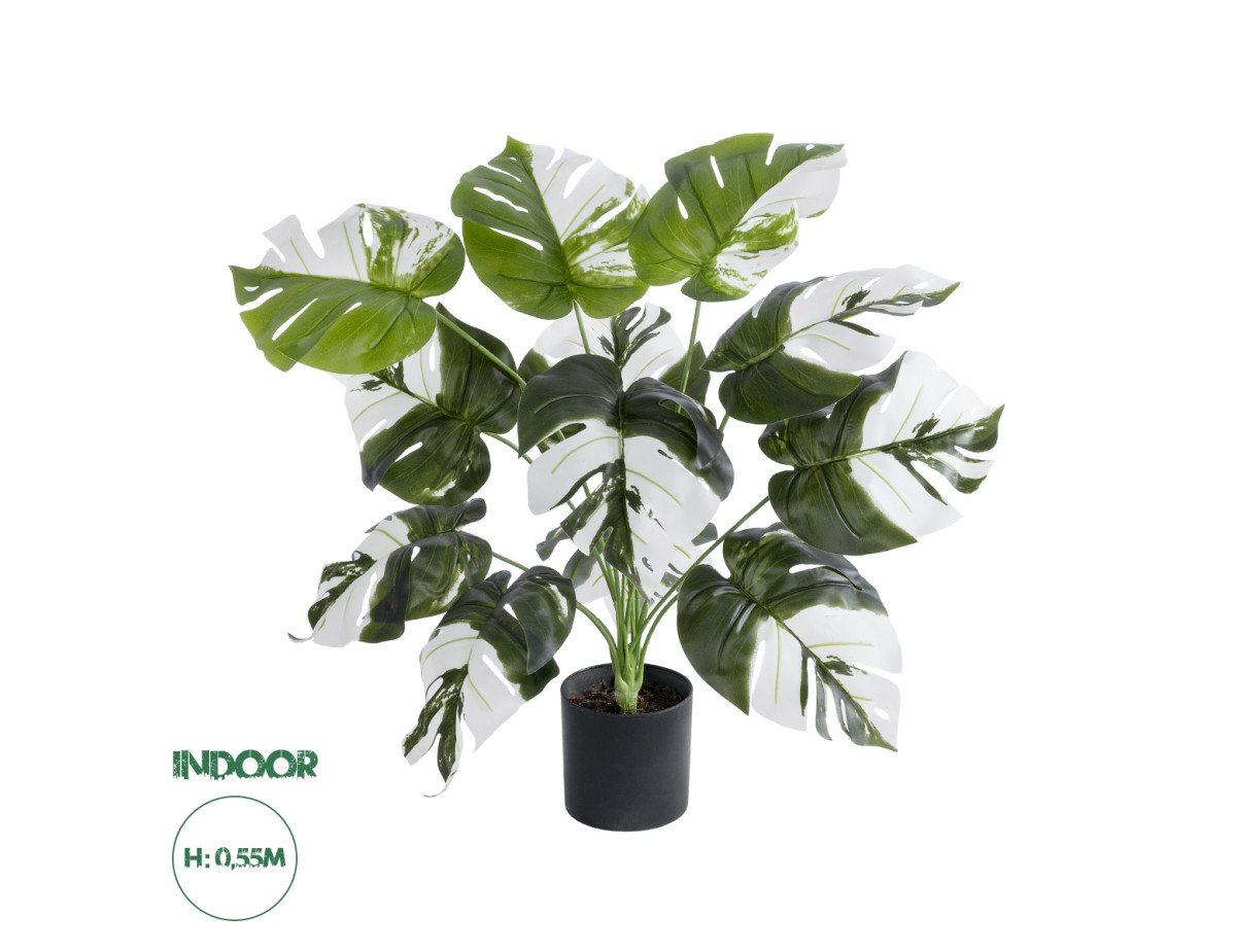 GloboStar® Artificial Garden ALBINO MONSTERA PLANT 20935 - Διακοσμητικό Φυτό Λευκή Μονστέρα Φ60 x Υ55cm