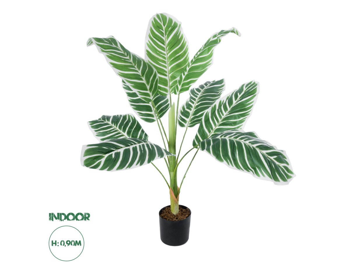 GloboStar® Artificial Garden WHITE ZEBRA PLANT 20943 Τεχνητό Διακοσμητικό Φυτό Λευκή Ζέβρα Φ90 x Υ90cm