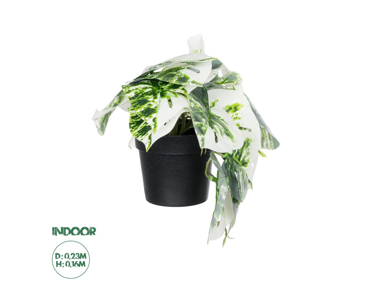 GloboStar® Artificial Garden ALBINO MONSTERA PLANT 20946 - Διακοσμητικό Φυτό Μονστέρα Φ23 x Υ16cm