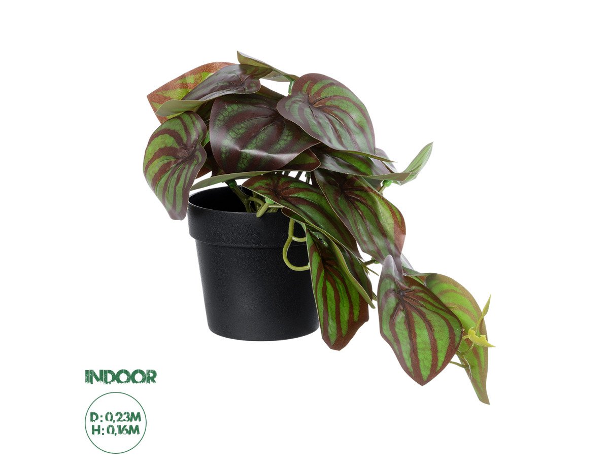 GloboStar® Artificial Garden BROWN PEPEROMIA PLANT 20952 Διακοσμητικό Φυτό Καφέ Πεπερόμια Φ23 x Υ16cm