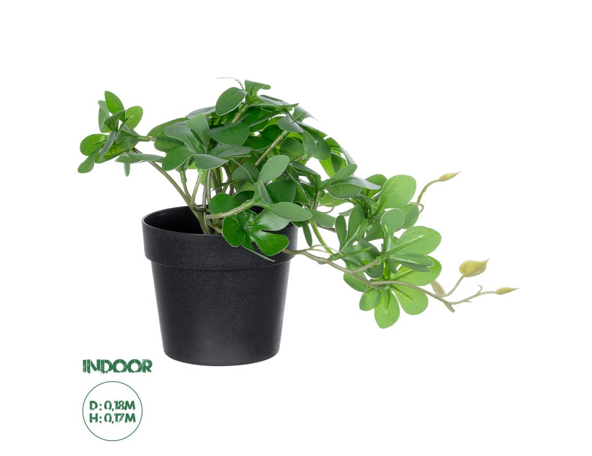 GloboStar® Artificial Garden SCHEFFLERA PLANT 20954 Διακοσμητικό Φυτό Σεφλέρα Φ18 x Υ17cm