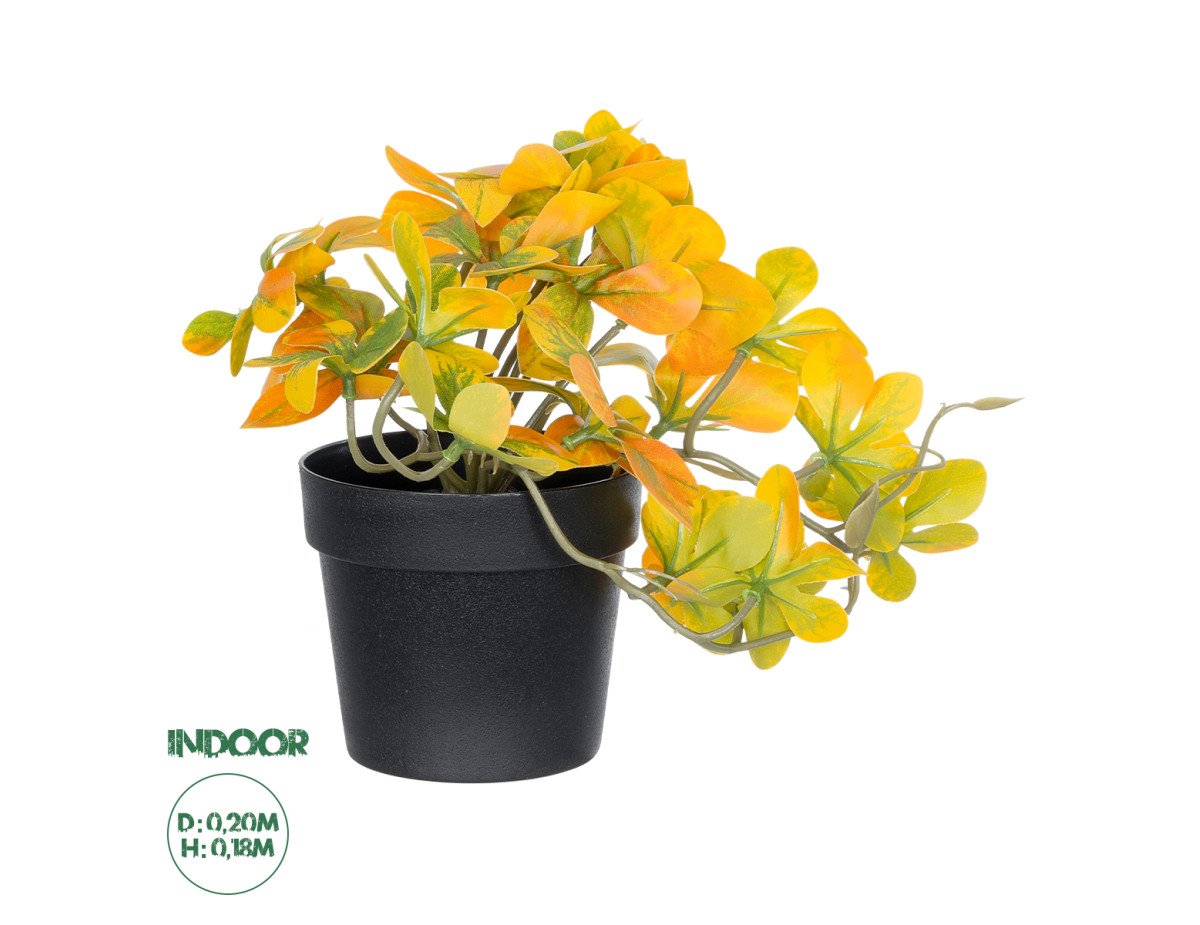 GloboStar® Artificial Garden SCHEFFLERA MIX PLANT 20955 Διακοσμητικό Φυτό Σεφλέρα Φ20 x Υ18cm