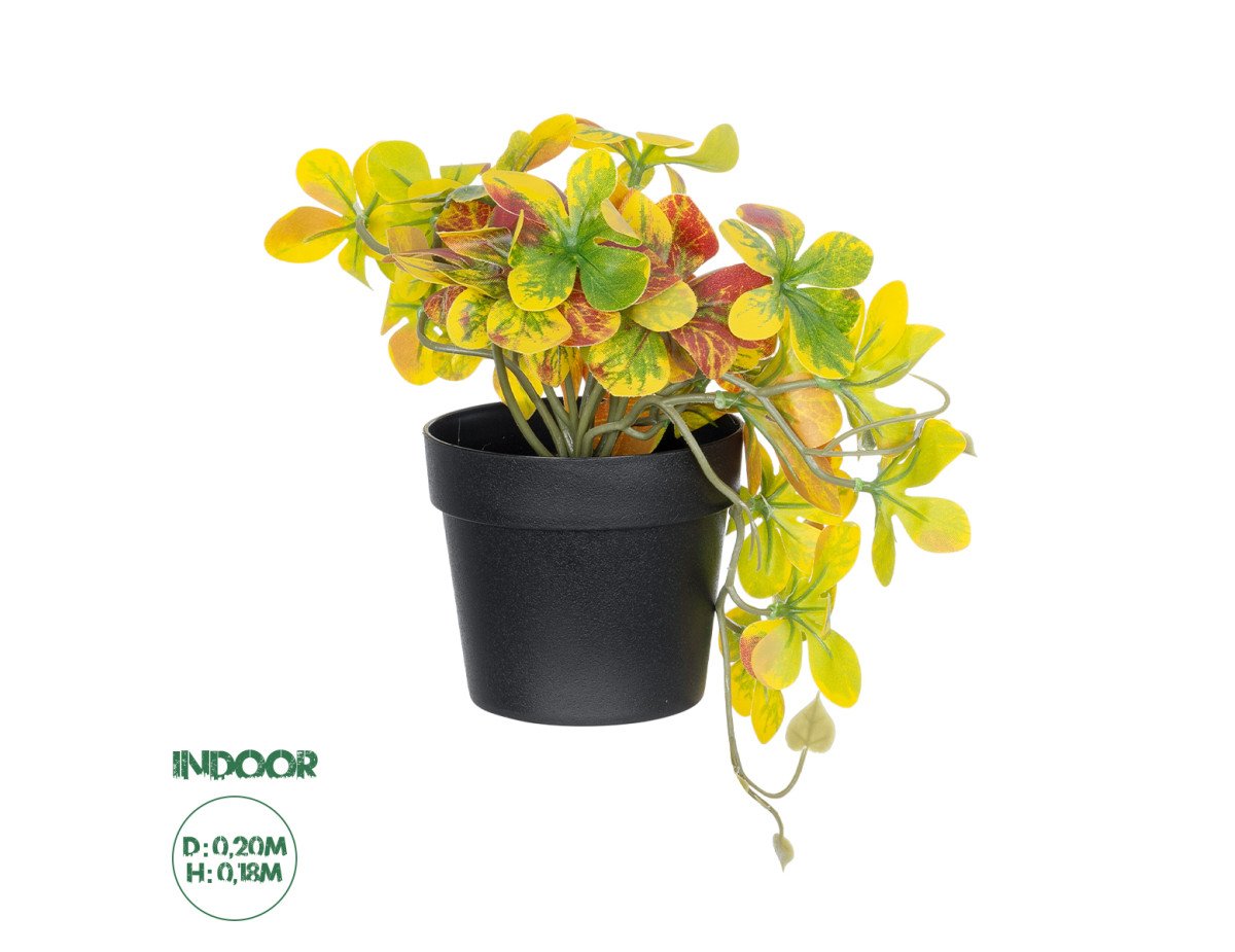 GloboStar® Artificial Garden SCHEFFLERA MIX PLANT 20956 Διακοσμητικό Φυτό Σεφλέρα Φ20 x Υ18cm