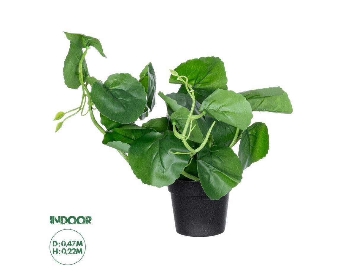 GloboStar® Artificial Garden BELL PLANT 20957 Διακοσμητικό Φυτό Σεφλέρα Φ47 x Υ22cm