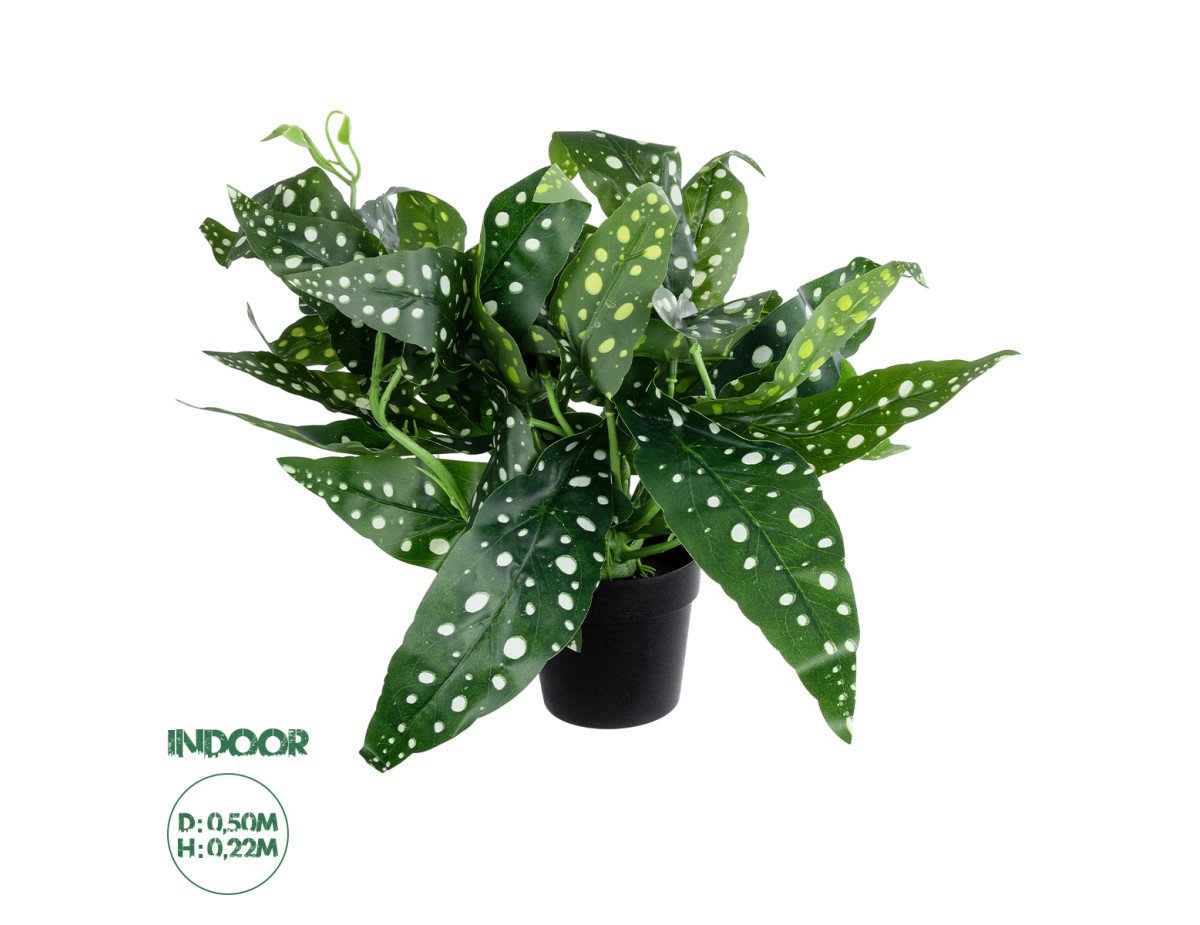 GloboStar® Artificial Garden BEGONIA POLKA DOT PLANT 20959 Διακοσμητικό Φυτό Βιγόνια Φ50 x Υ22cm