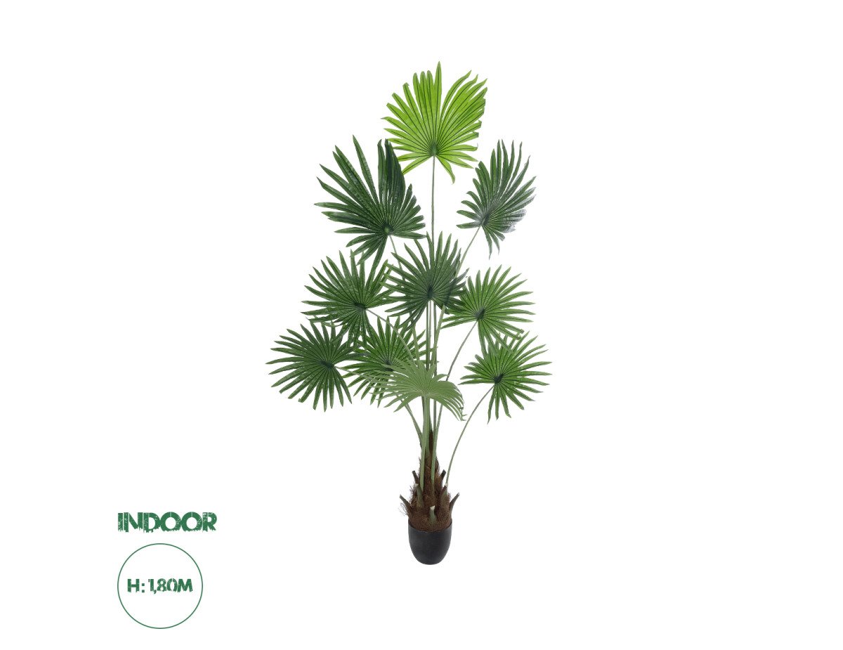 GloboStar® Artificial Garden SERENOA PALM PLANT 20972 Διακοσμητικό Φυτό Φοίνικα Σερενόα Φ103 x Υ180cm