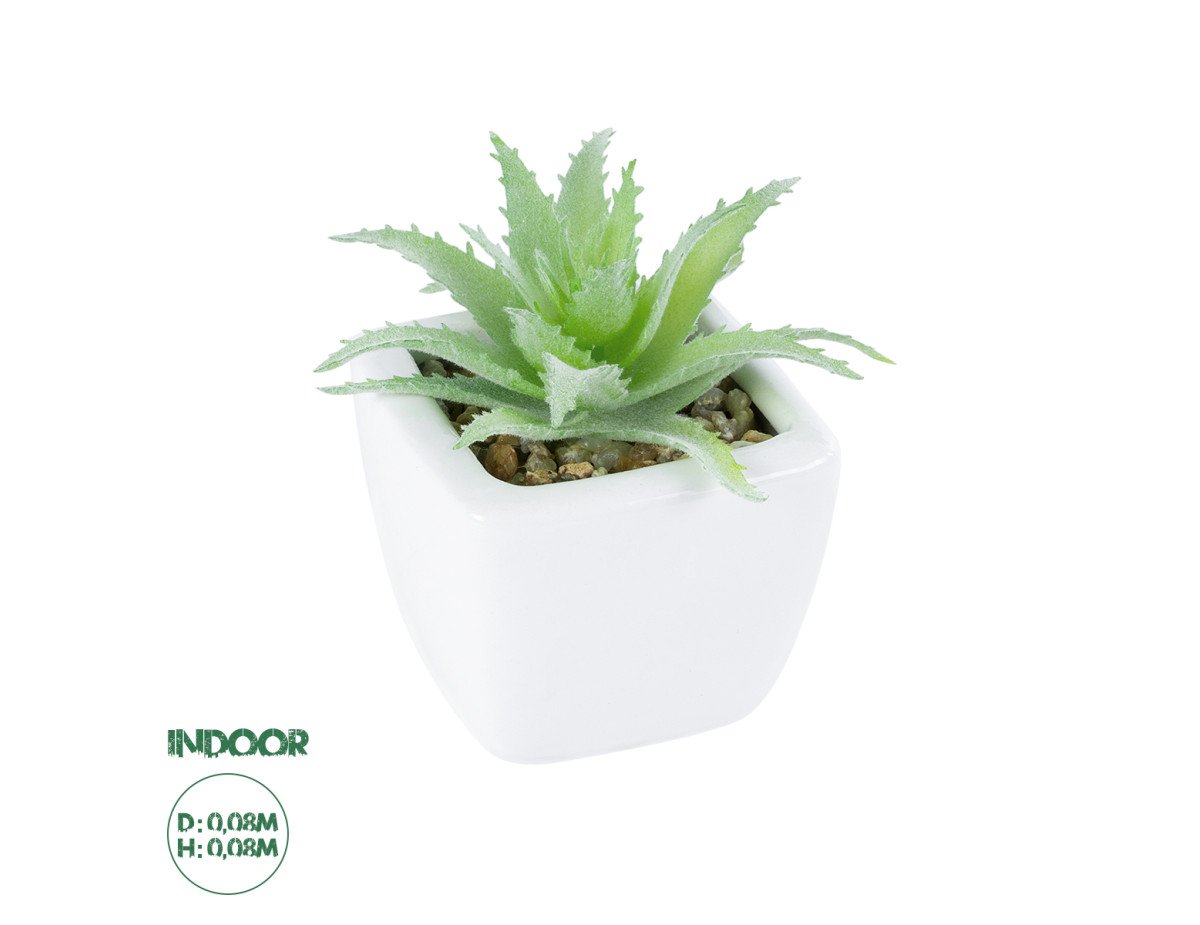 GloboStar® Artificial Garden SUCCULENT ALOE LOTUS PLANT 20976 Διακοσμητικό Φυτό Παχύφυτο Λωτός Αλόης Φ8 x Υ8cm