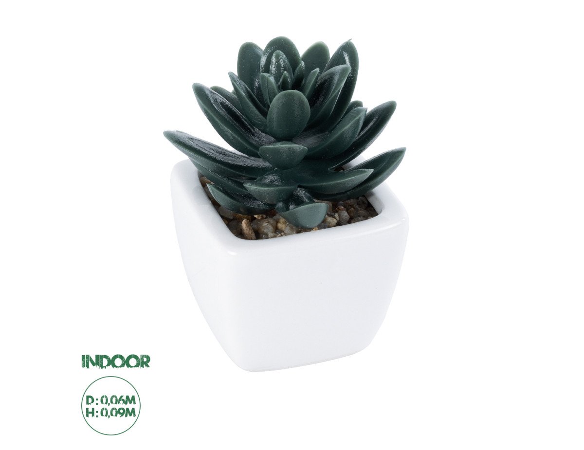 GloboStar® Artificial Garden SUCCULENT SEDEVERIA PLANT 20977 Διακοσμητικό Φυτό Παχύφυτο Σεντεβέρια Φ6 x Υ9cm