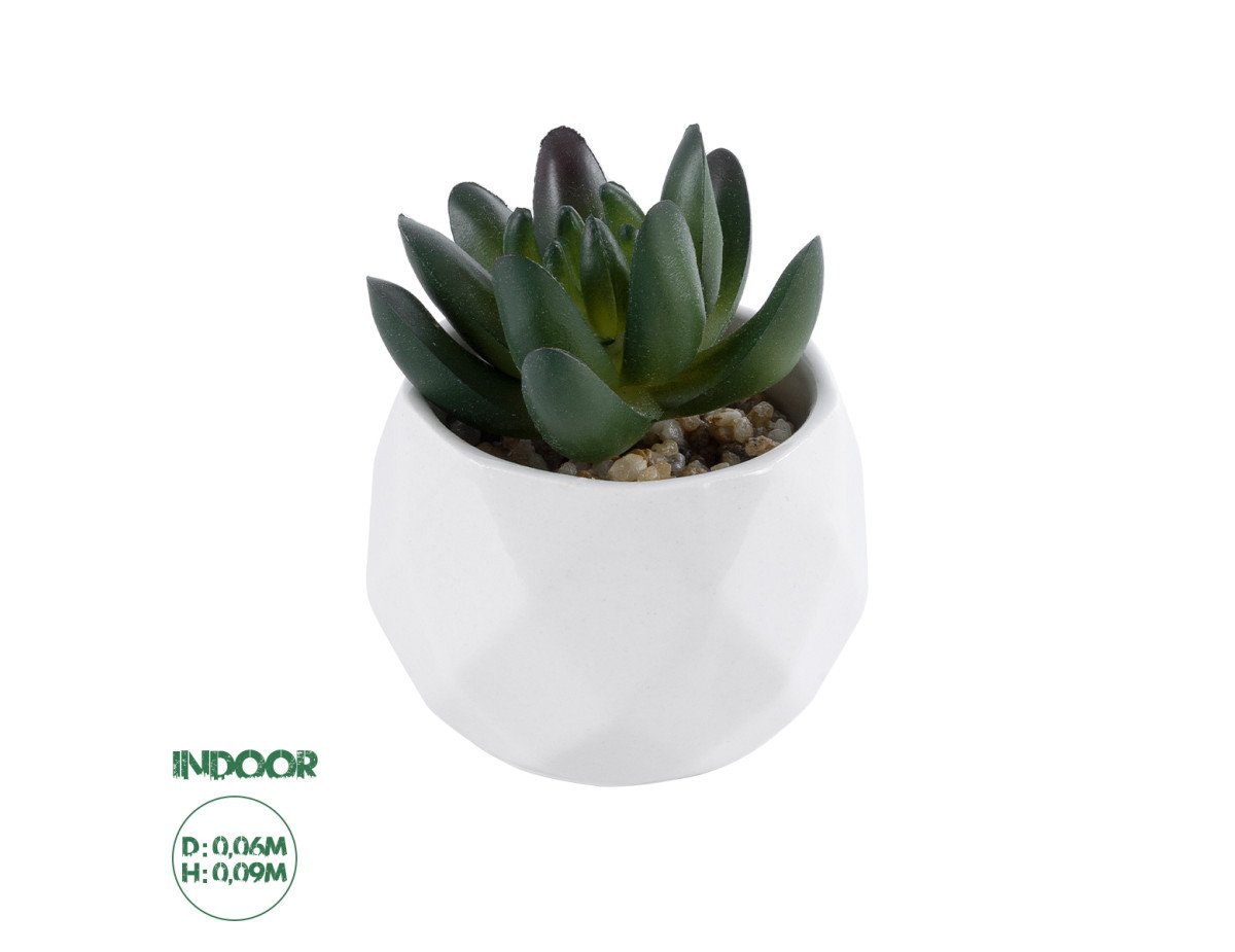 GloboStar® Artificial Garden SUCCULENT CRASSULA 20979 Διακοσμητικό Φυτό Παχύφυτο Κράσουλα Υ9cm