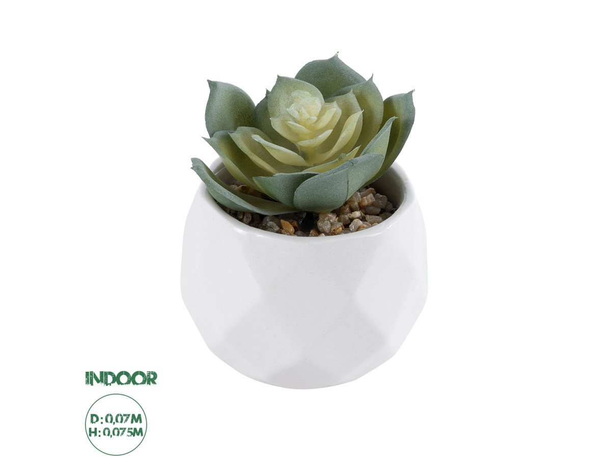 GloboStar® Artificial Garden SUCCULENT ECHEVERIA 20980 Διακοσμητικό Φυτό Παχύφυτο Εχεβέρια Υ7.5cm