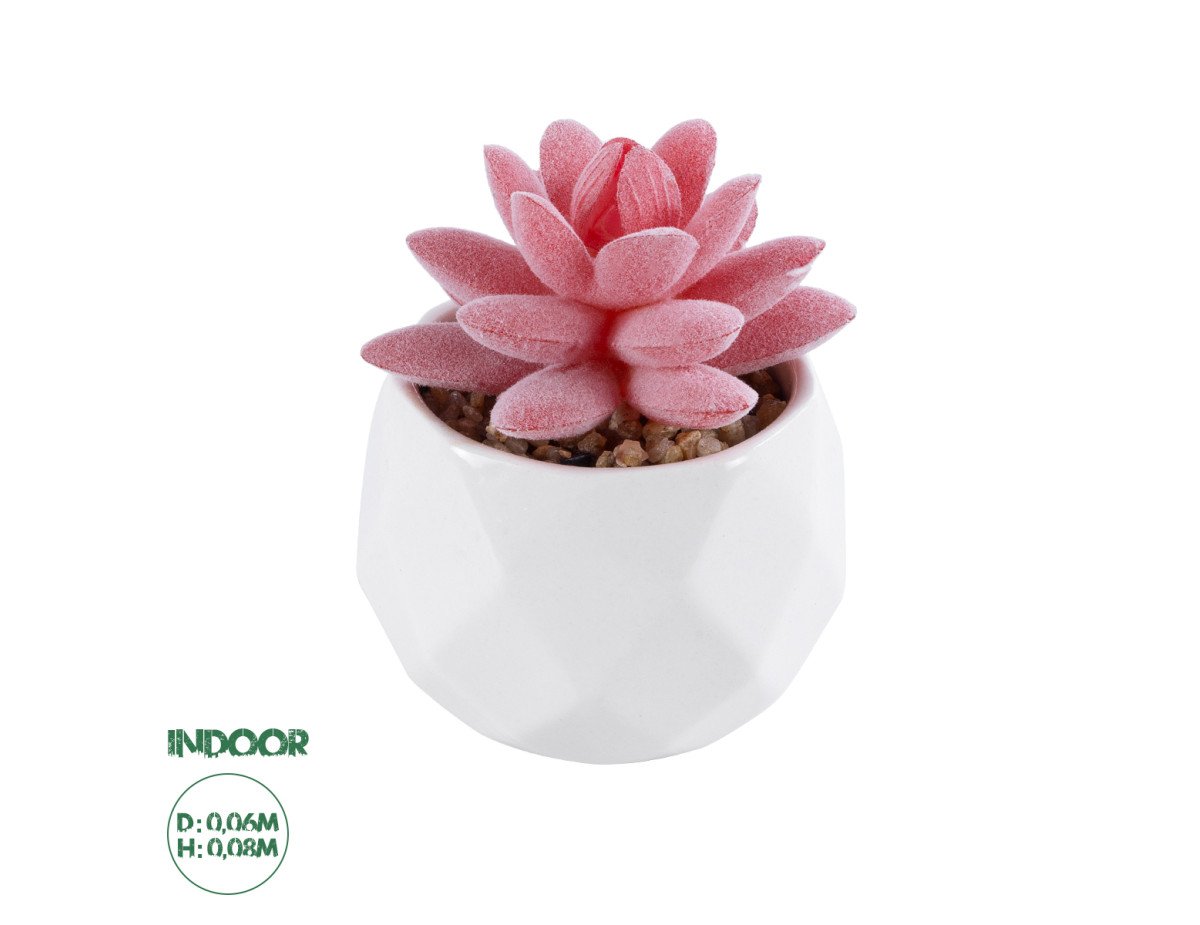 GloboStar® Artificial Garden SUCCULENT SEDEVERIA 20981 Διακοσμητικό Φυτό Παχύφυτο Σεντεβέρια Υ8cm