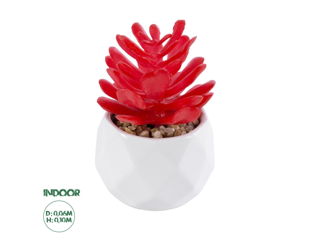 GloboStar® Artificial Garden SUCCULENT CRASSULA 20985 Διακοσμητικό Φυτό Παχύφυτο Κράσουλα Υ10cm