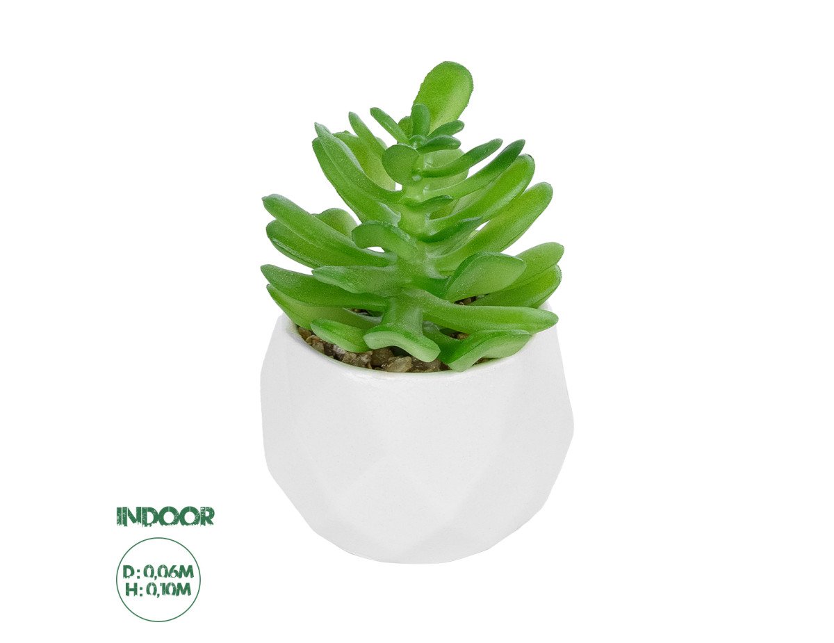 GloboStar® Artificial Garden SUCCULENT CRASSULA POTTED PLANT 20986 Διακοσμητικό Φυτό Κρασούλα Φ6 x Υ10cm