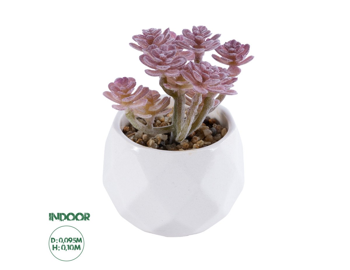 GloboStar® Artificial Garden SUCCULENT SEDUM 20988 Διακοσμητικό Φυτό Παχύφυτο Σέδο Υ10cm