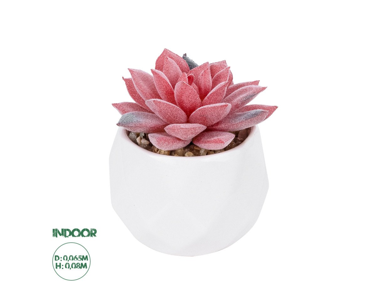 GloboStar® Artificial Garden SUCCULENT SEDEVERIA POTTED PLANT 20989 Διακοσμητικό Φυτό Σεδεβέρια Φ6,5 x Υ8cm